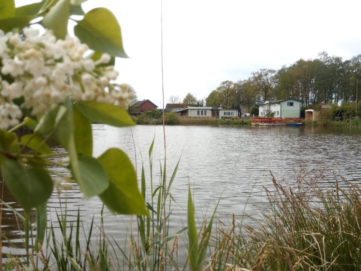 Agroturystyka Nad Morzem Zieleniewo  Esterno foto